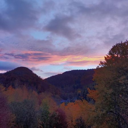 Haus Solveig Appartamento Wieda Esterno foto